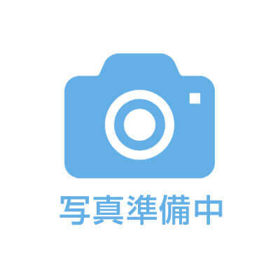 ウレタンフォーム(100本入)